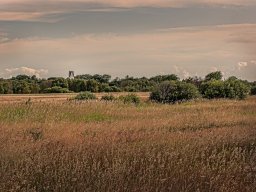 IMGP6082-1_Borris Kirke